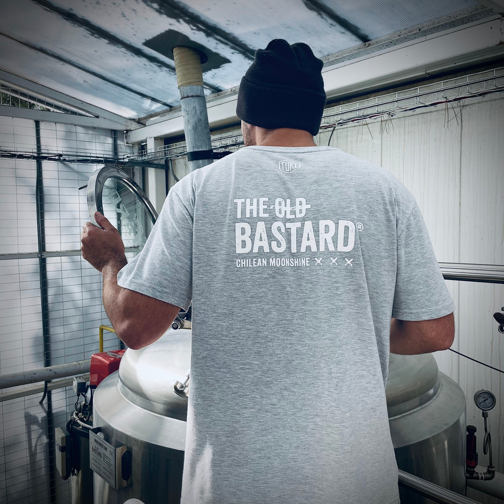 POLERA KEEP THE SECRET GRIS by TOKE