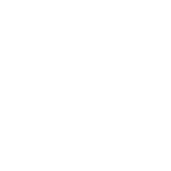 The Old Bastard Chilean Moonshine